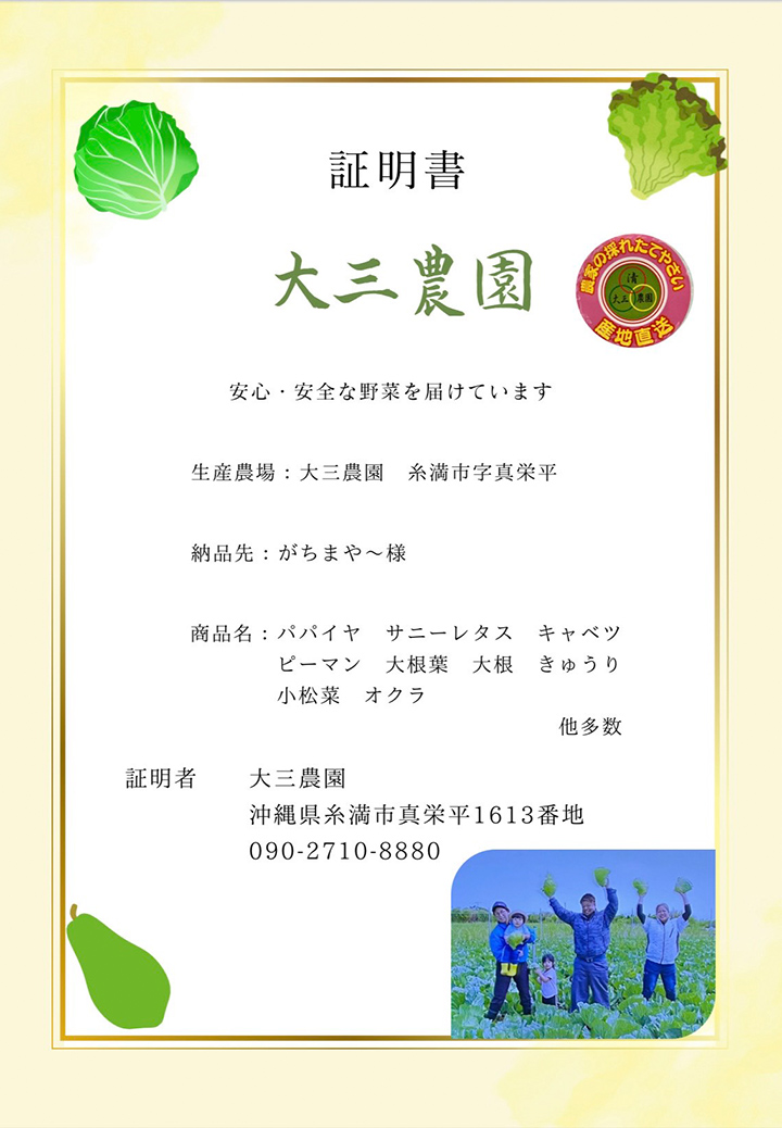 沖縄 大三農園 県産野菜 証明書